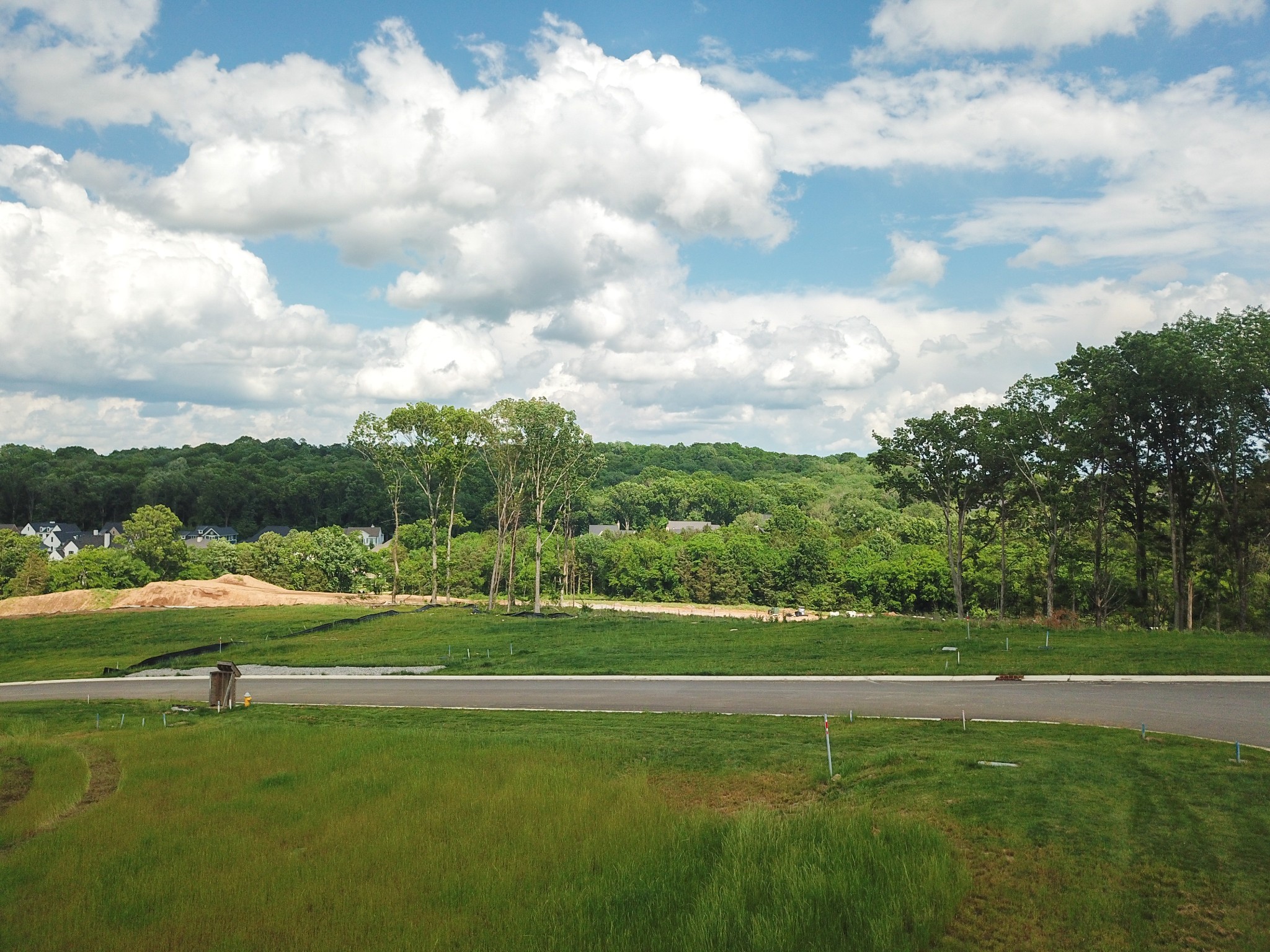 8749 Weller Ln, College Grove, TN 37046