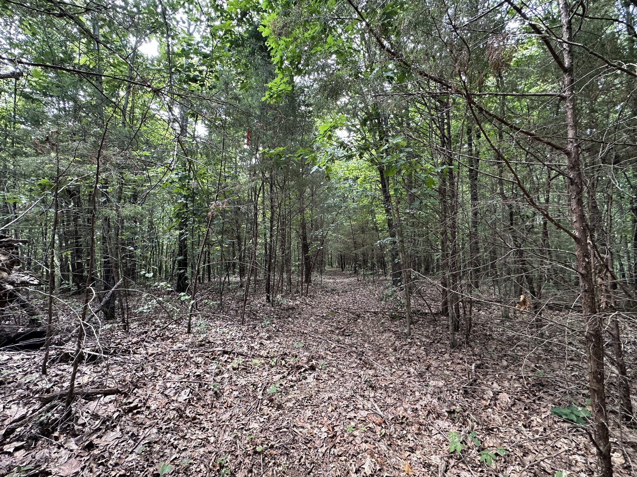 0 Kirby Hill Rd, Ashland City, TN 37015