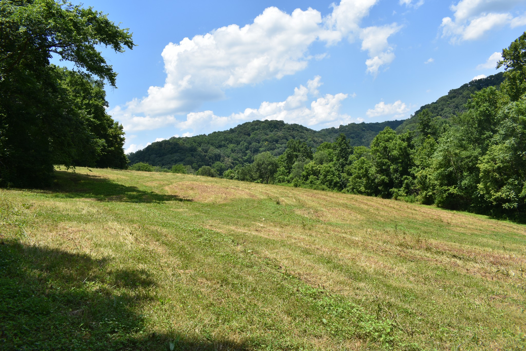 0 Nascar Ln Lot 2, Pleasant Shade, TN 37145