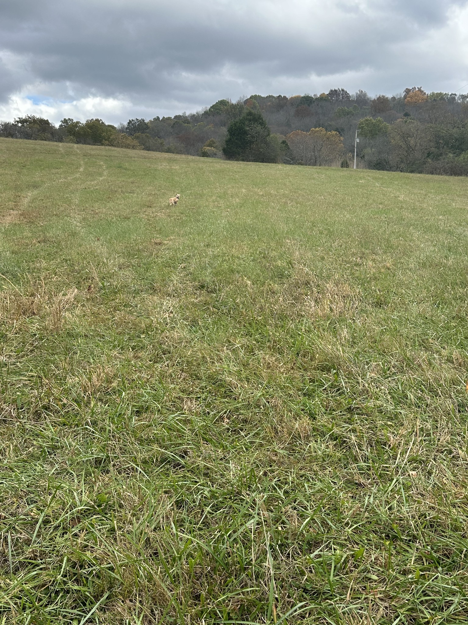 772 Rock Bridge Rd, Bethpage, TN 37022
