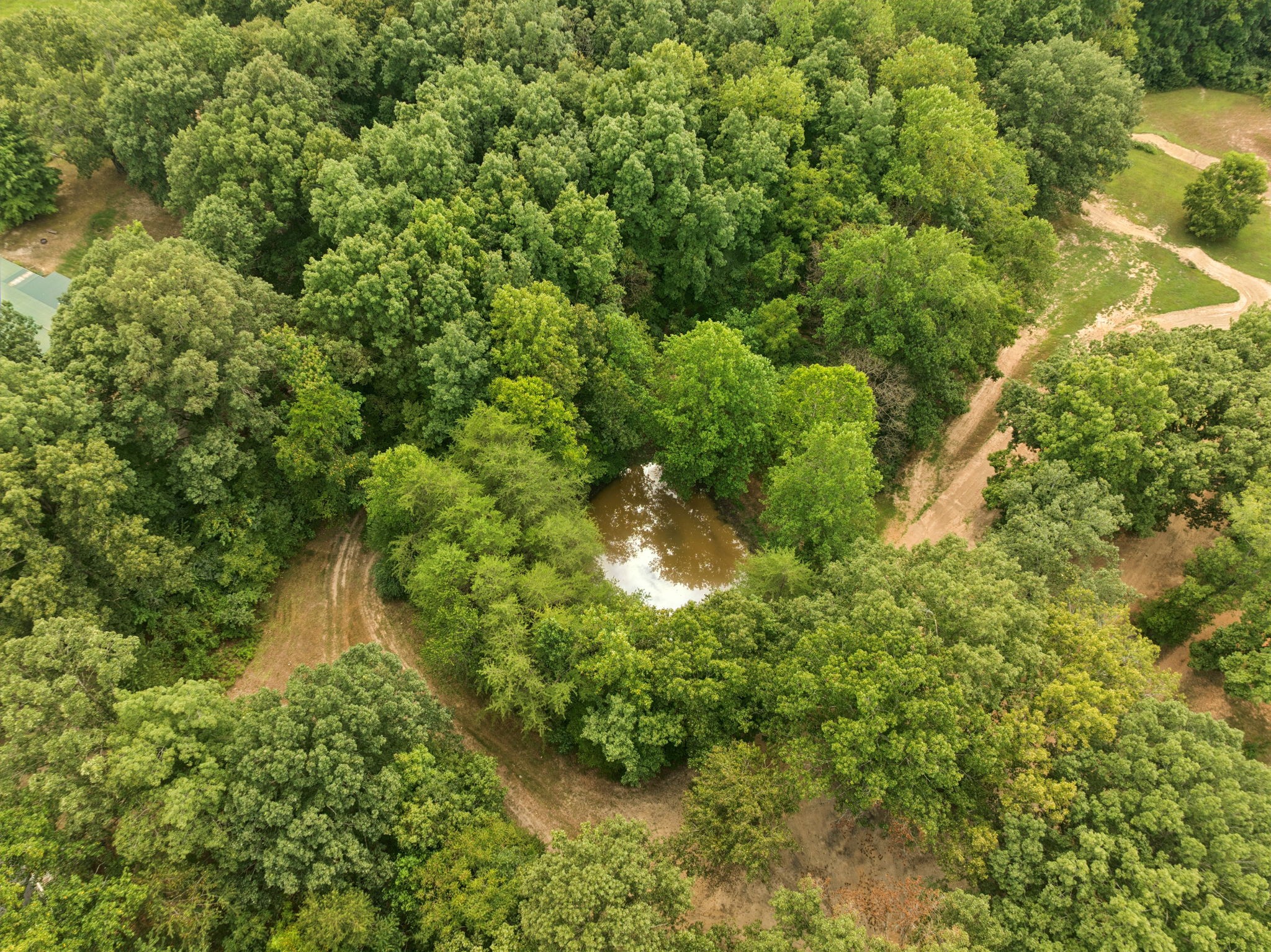 0 Dog Creek Rd Lot 1, Primm Springs, TN 38476