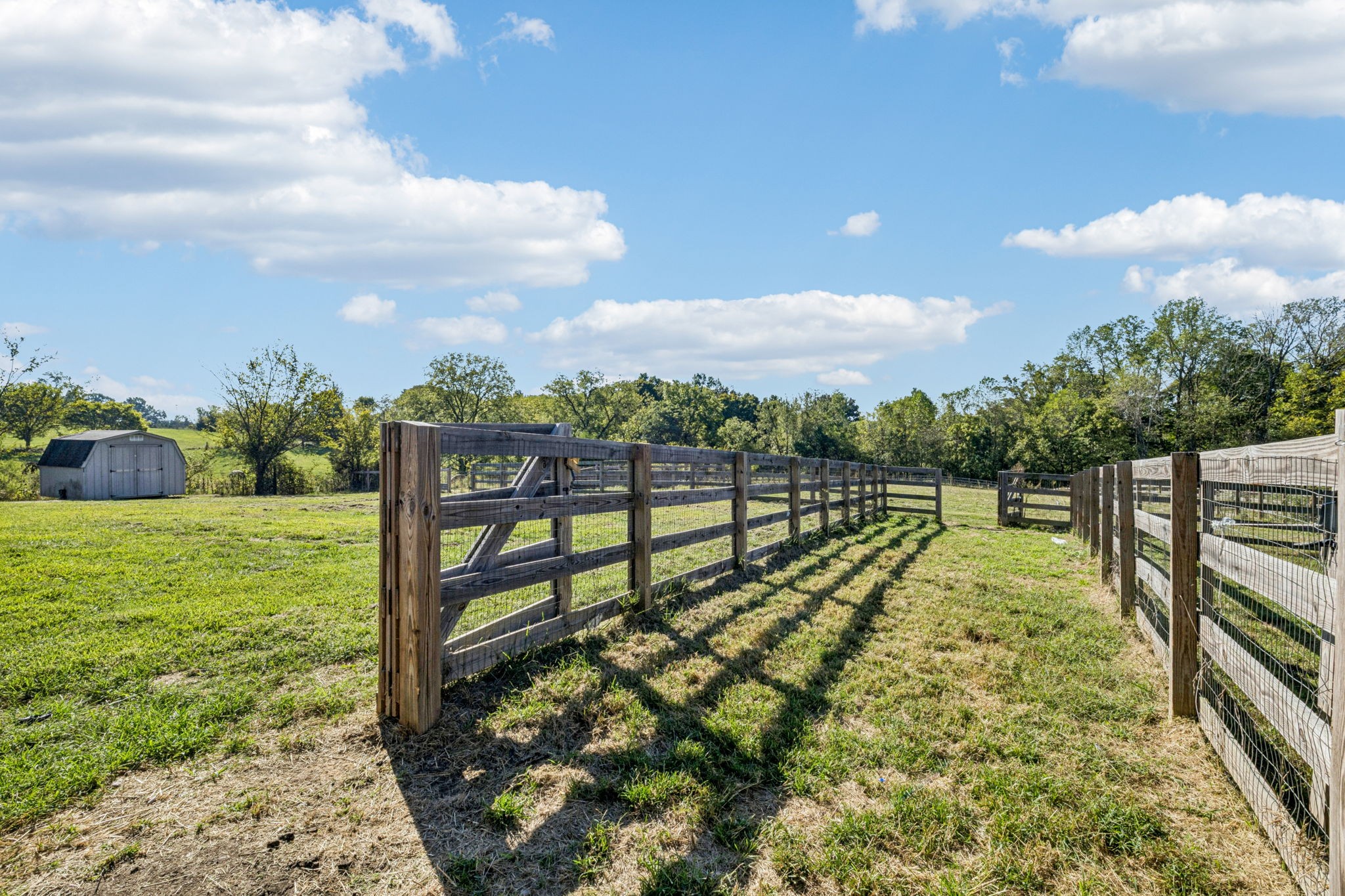 3978 Bilbrey Dr, White House, TN 37188