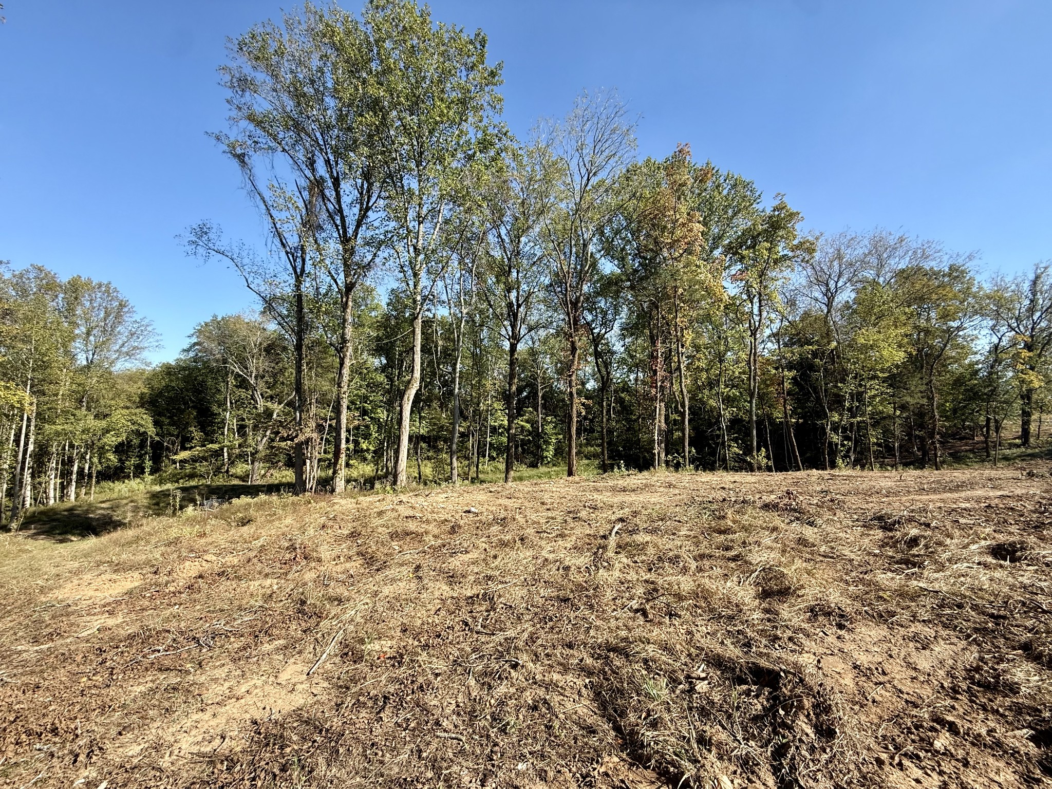 5500 Jenbreck Ln, Arrington, TN 37014