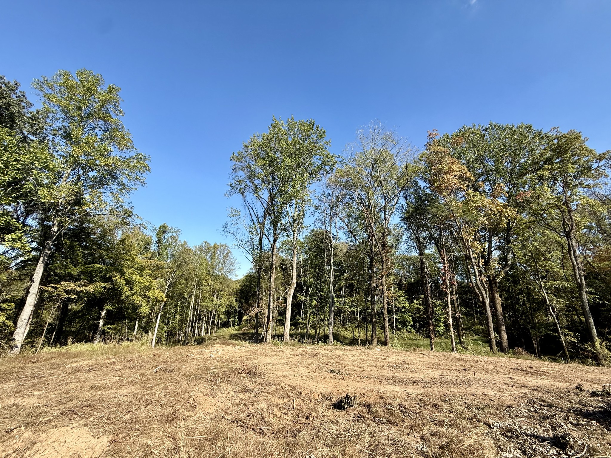 5500 Jenbreck Ln, Arrington, TN 37014