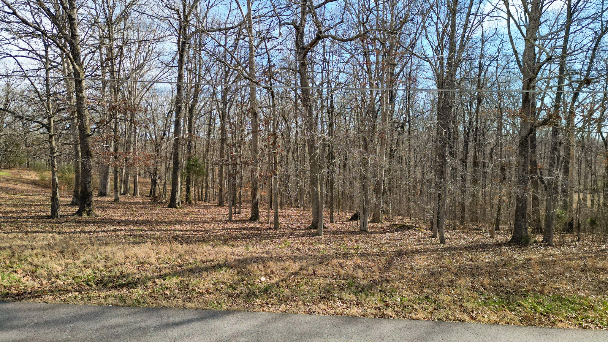 0 Rouse Rd, Dickson, TN 37055