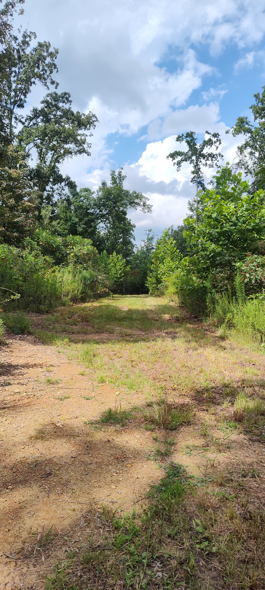 1 Ccc Rd, Fairview, TN 37062