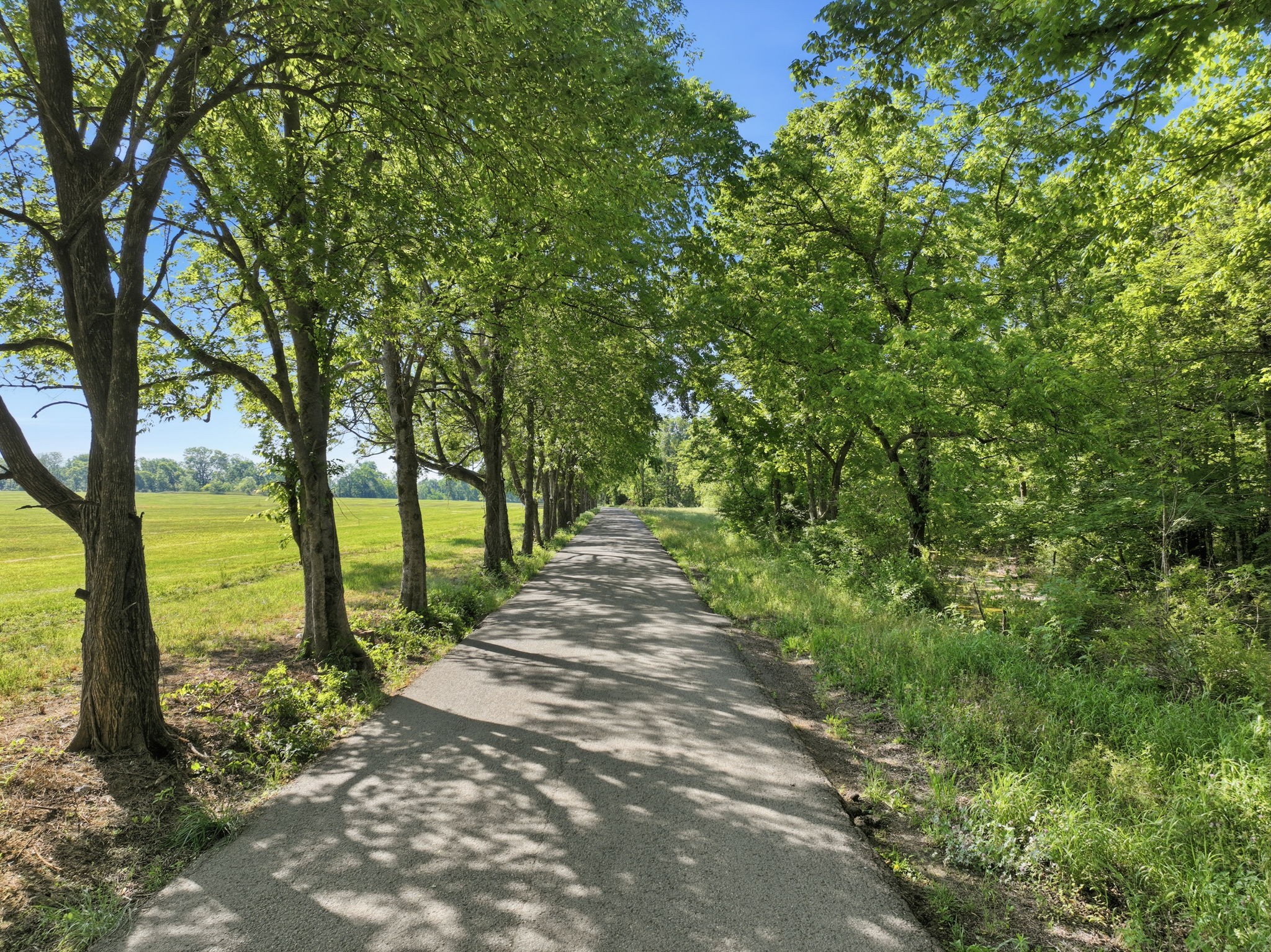 2 Deshea Creek Rd, Gallatin, TN 37066