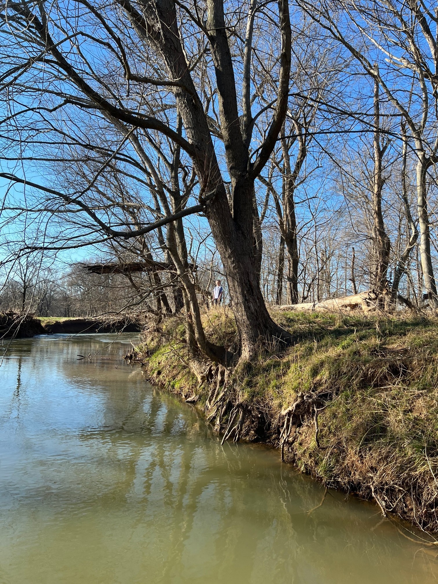 0 Red River School Rd Lot 1, Portland, TN 37148