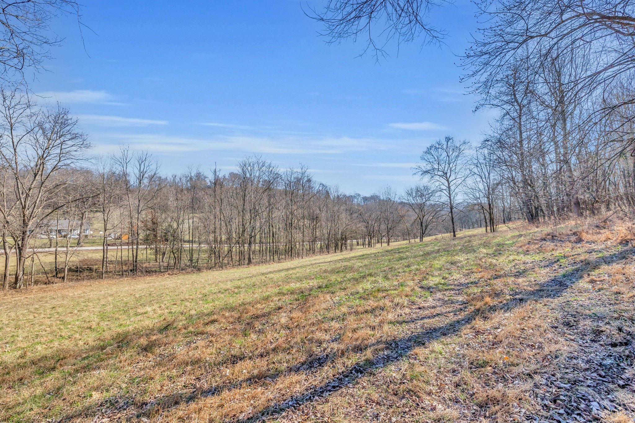 3153 Blazer Rd W Lot 4, Franklin, TN 37064