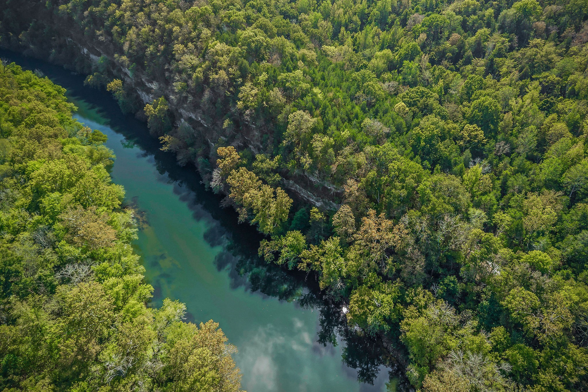 43 Moss Bend Ln, Lancaster, TN 38569
