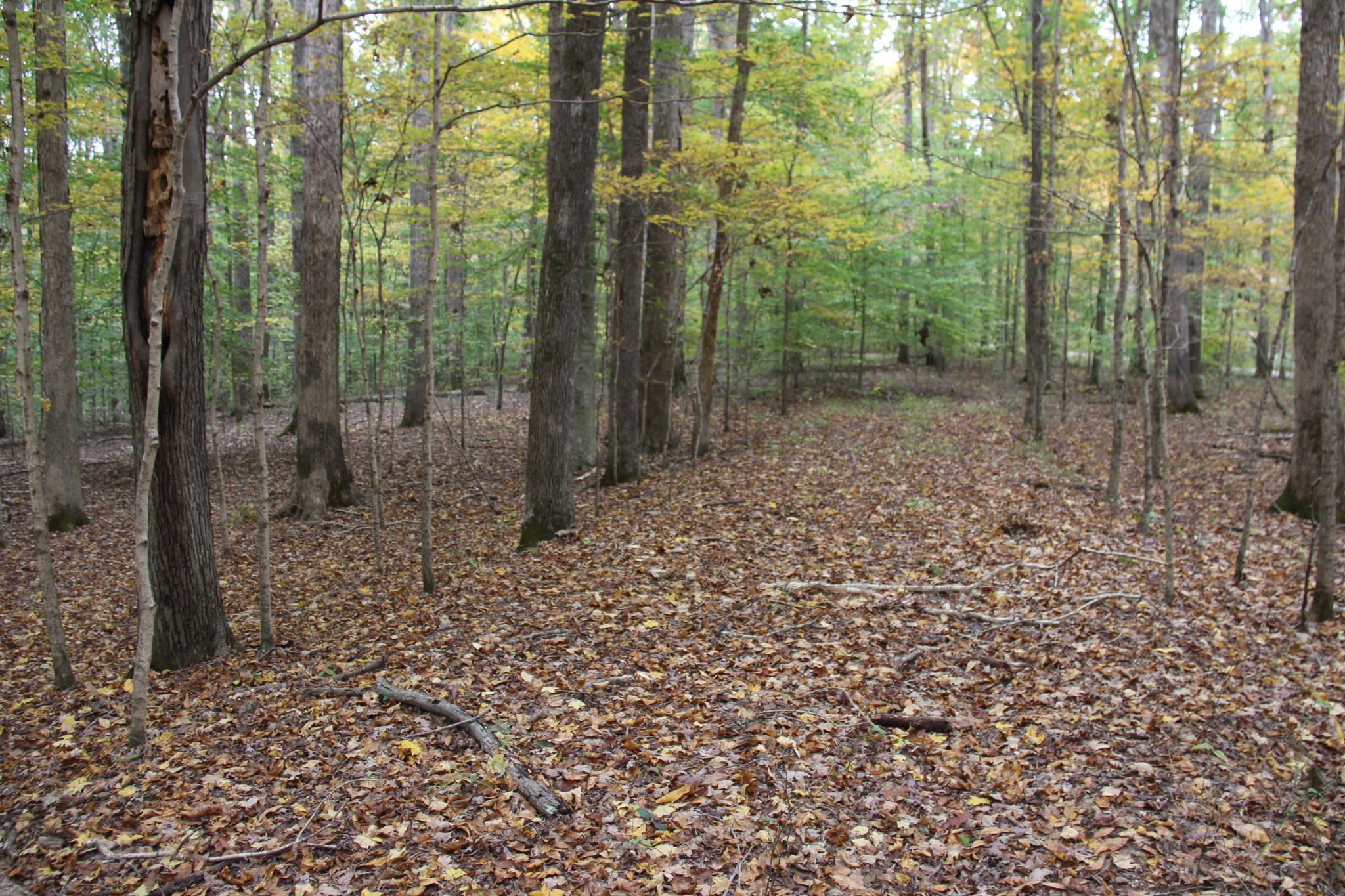 0 Jackson Cabin Rd, Kingston Springs, TN 37082