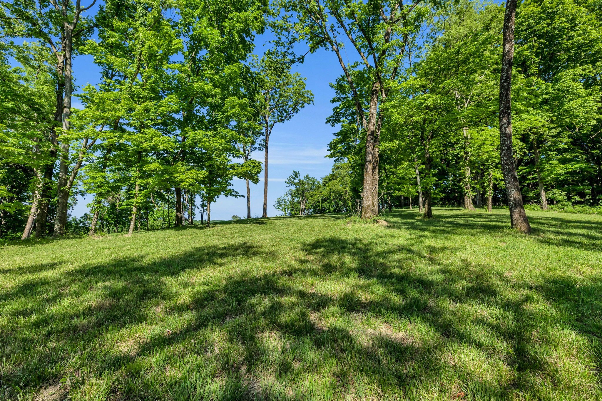 0 Burke Hollow Rd Lot 1, Nolensville, TN 37135