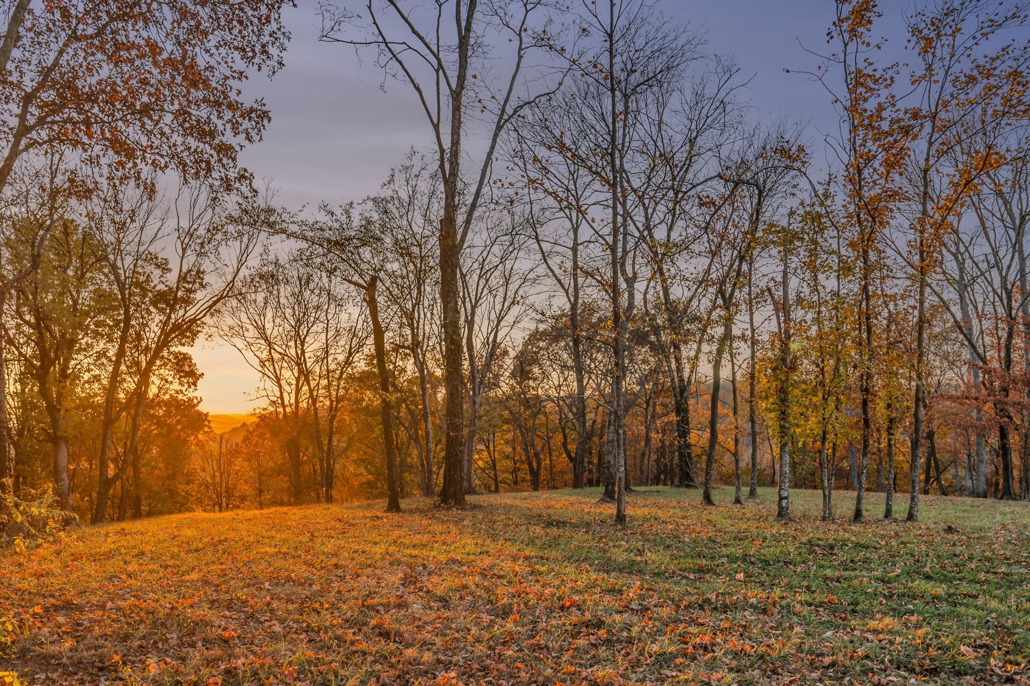 0 Burke Hollow Rd Lot 1, Nolensville, TN 37135
