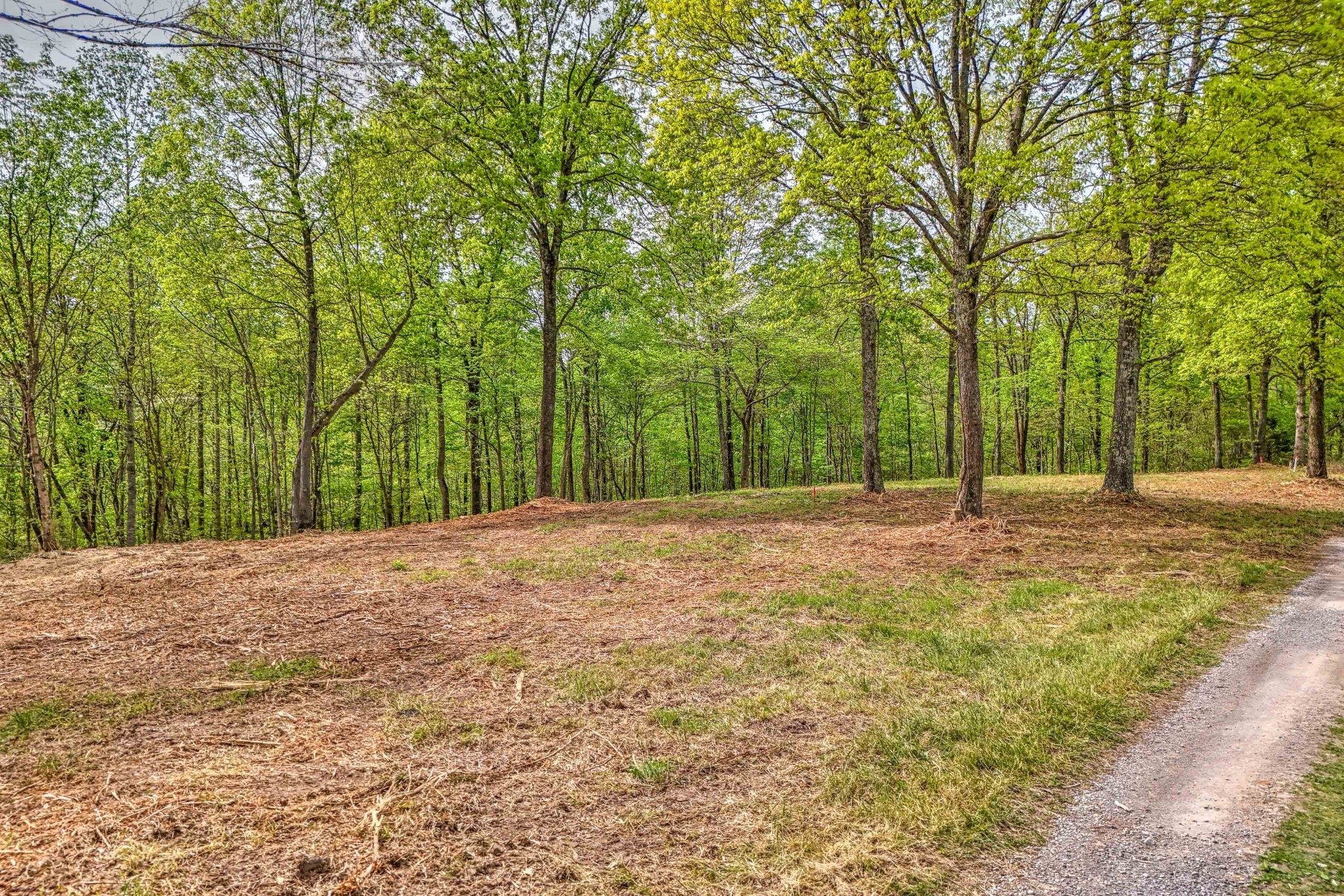 0 Rbk Ln, Bethpage, TN 37022