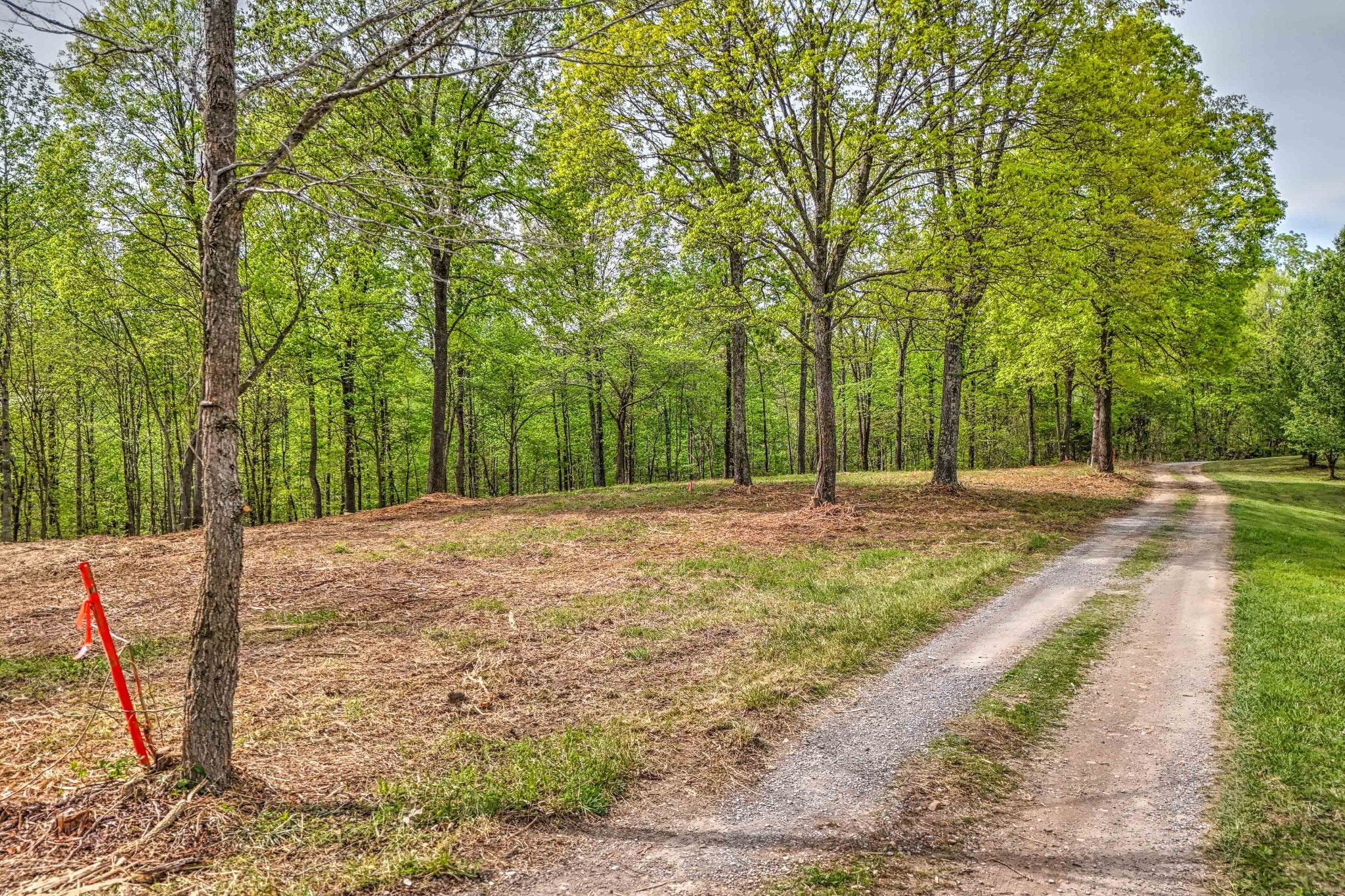 0 Rbk Ln, Bethpage, TN 37022