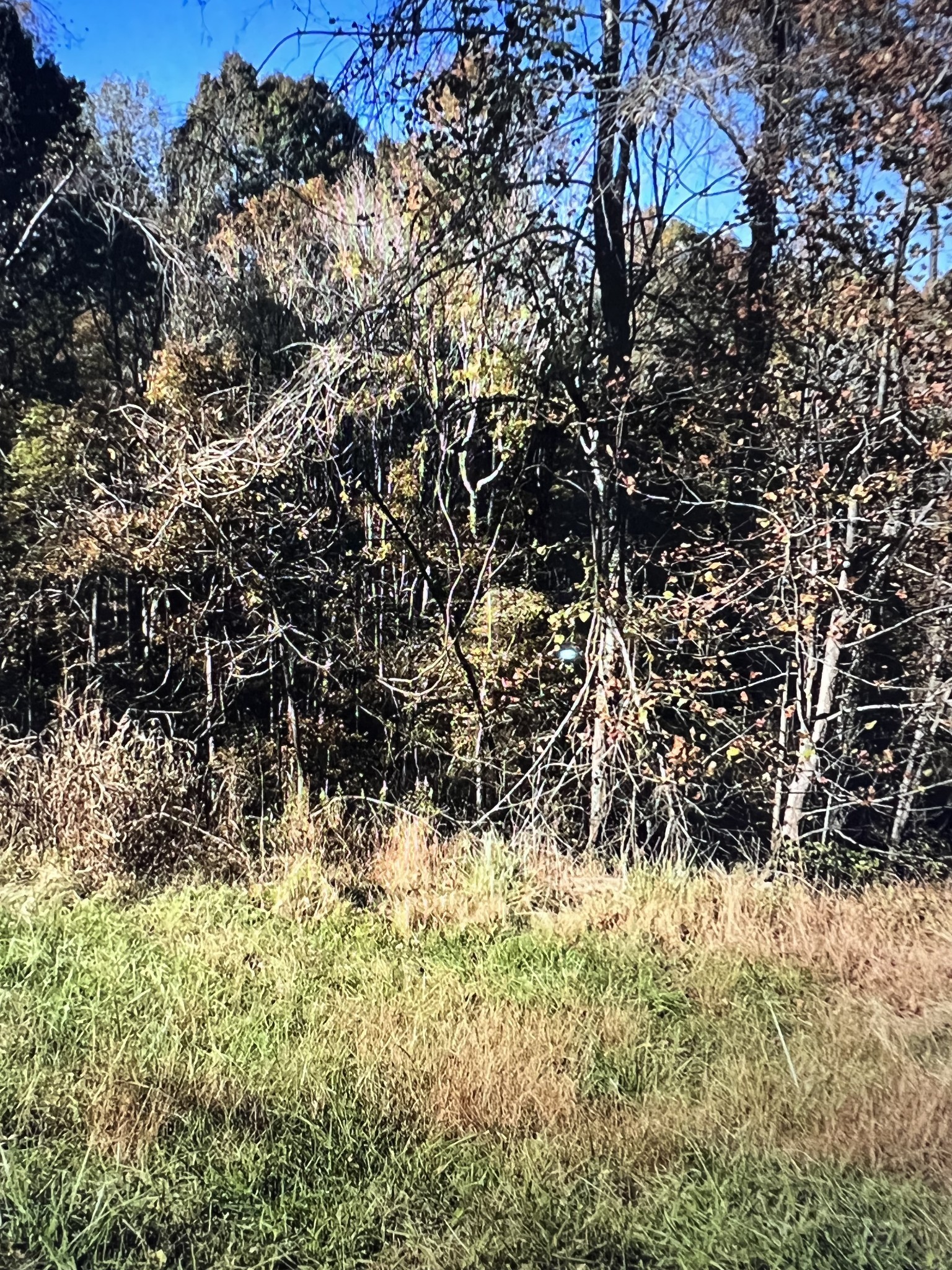 1366 Ridge Cir, Joelton, TN 37080