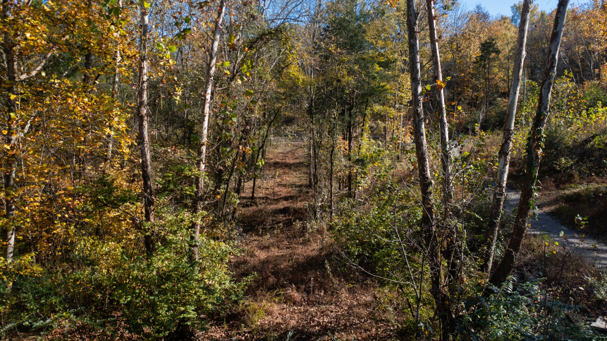 151 Angels Cove Ln, Lebanon, TN 37087