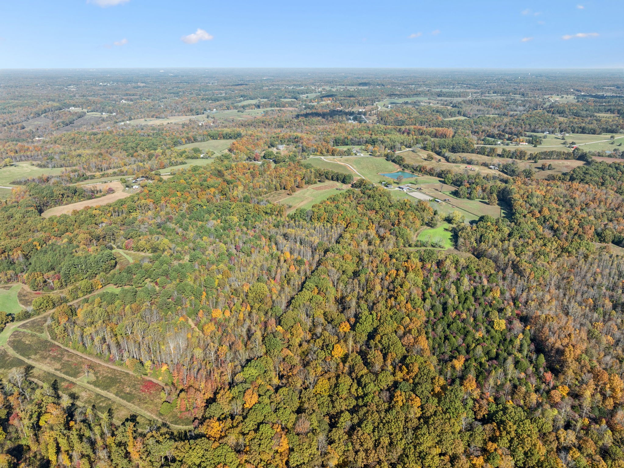 7489 Shoals Branch Rd, Primm Springs, TN 38476