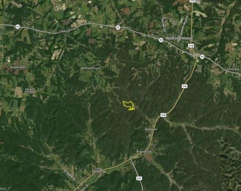 0 Rock House Hollow Rd, Westmoreland, TN 37186