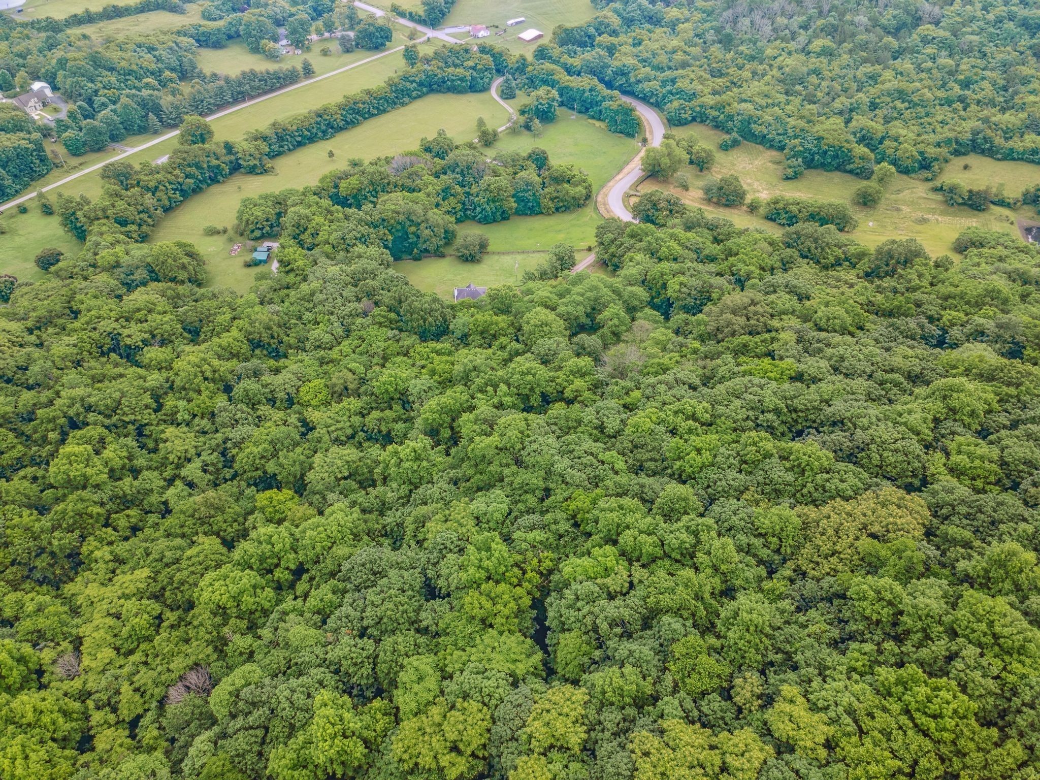 6873 Giles Hill Rd, College Grove, TN 37046