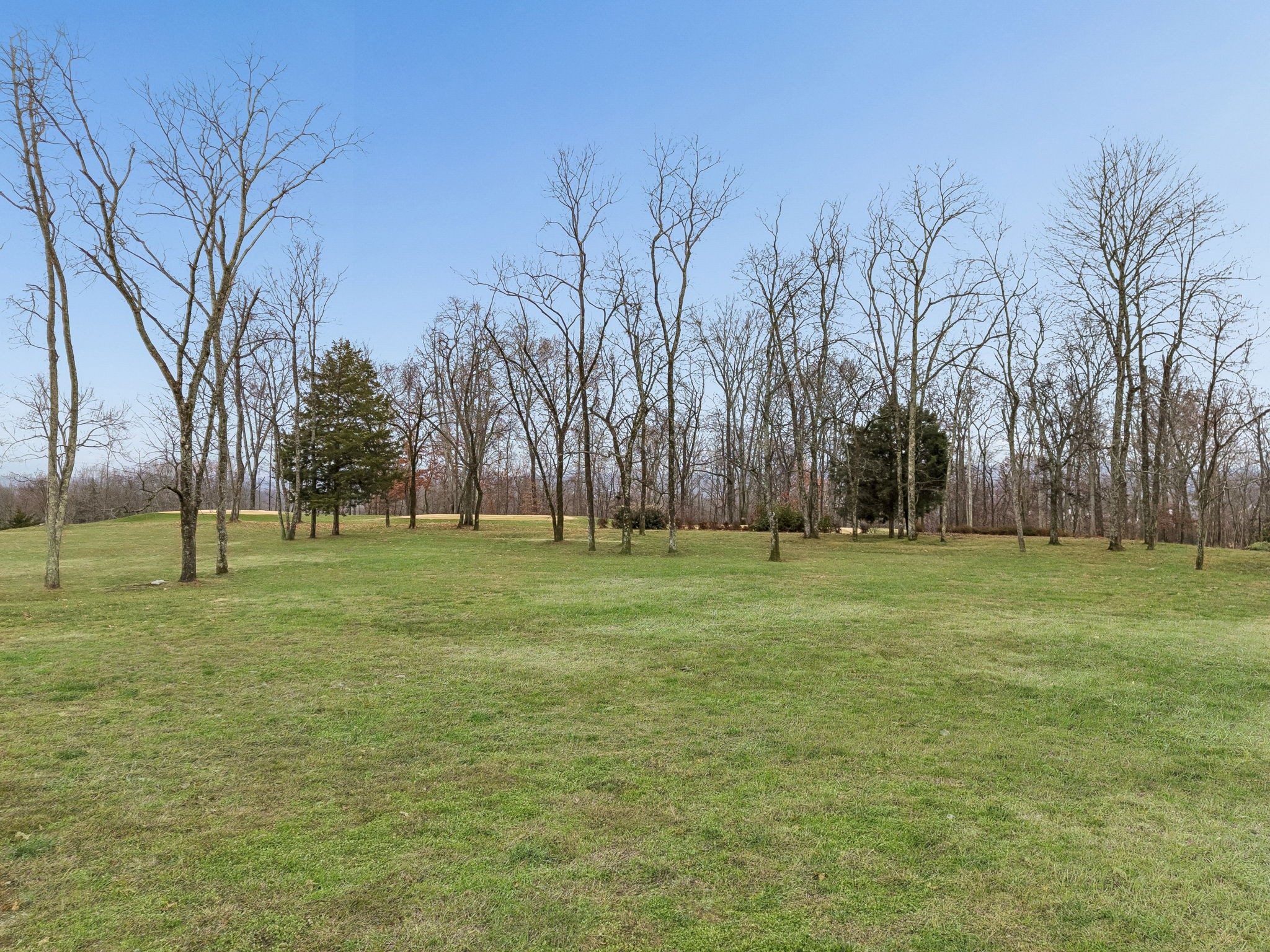 8025 Backwoods Dr Lot 711, College Grove, TN 37046