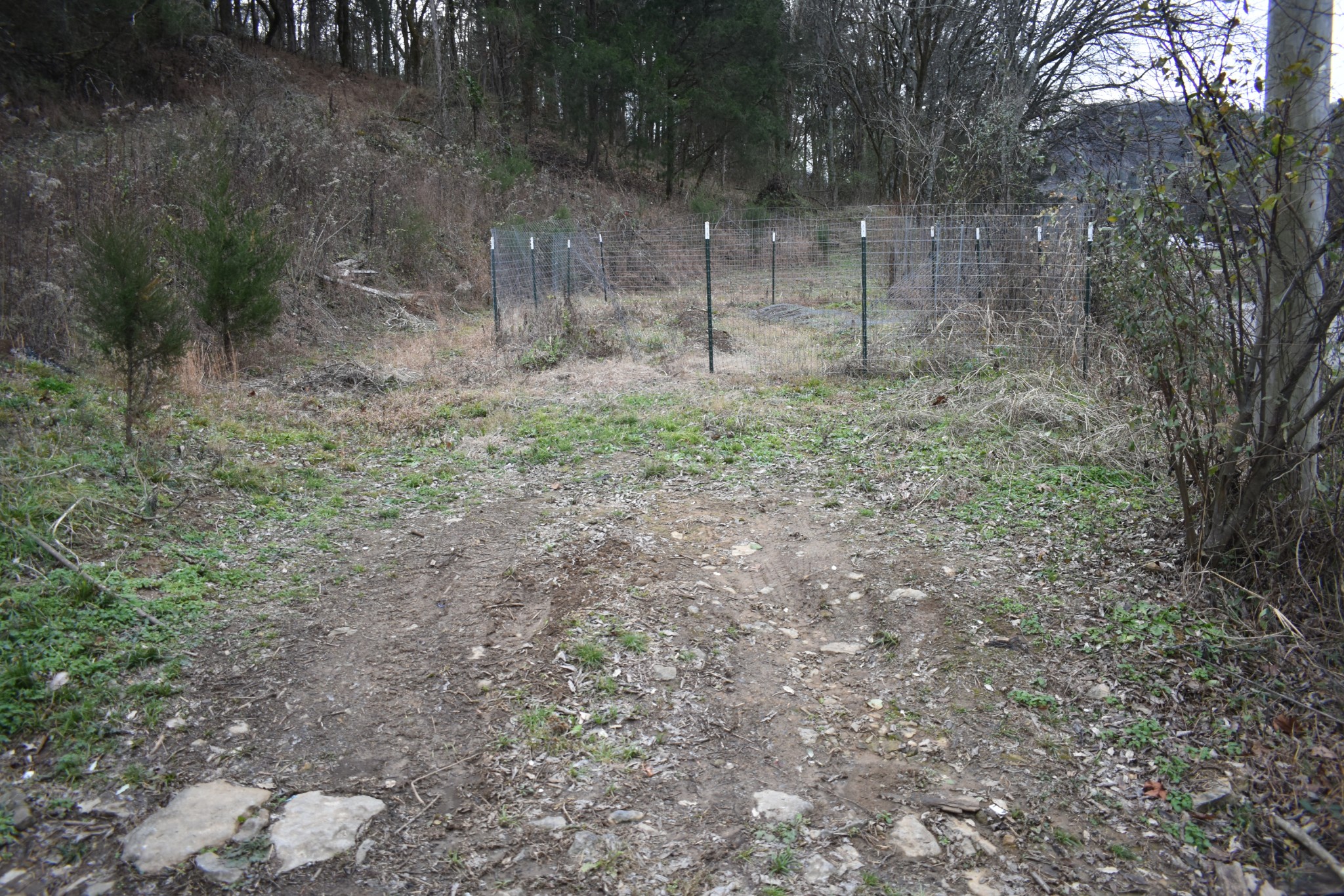 256 Maggart Rd, Elmwood, TN 38560