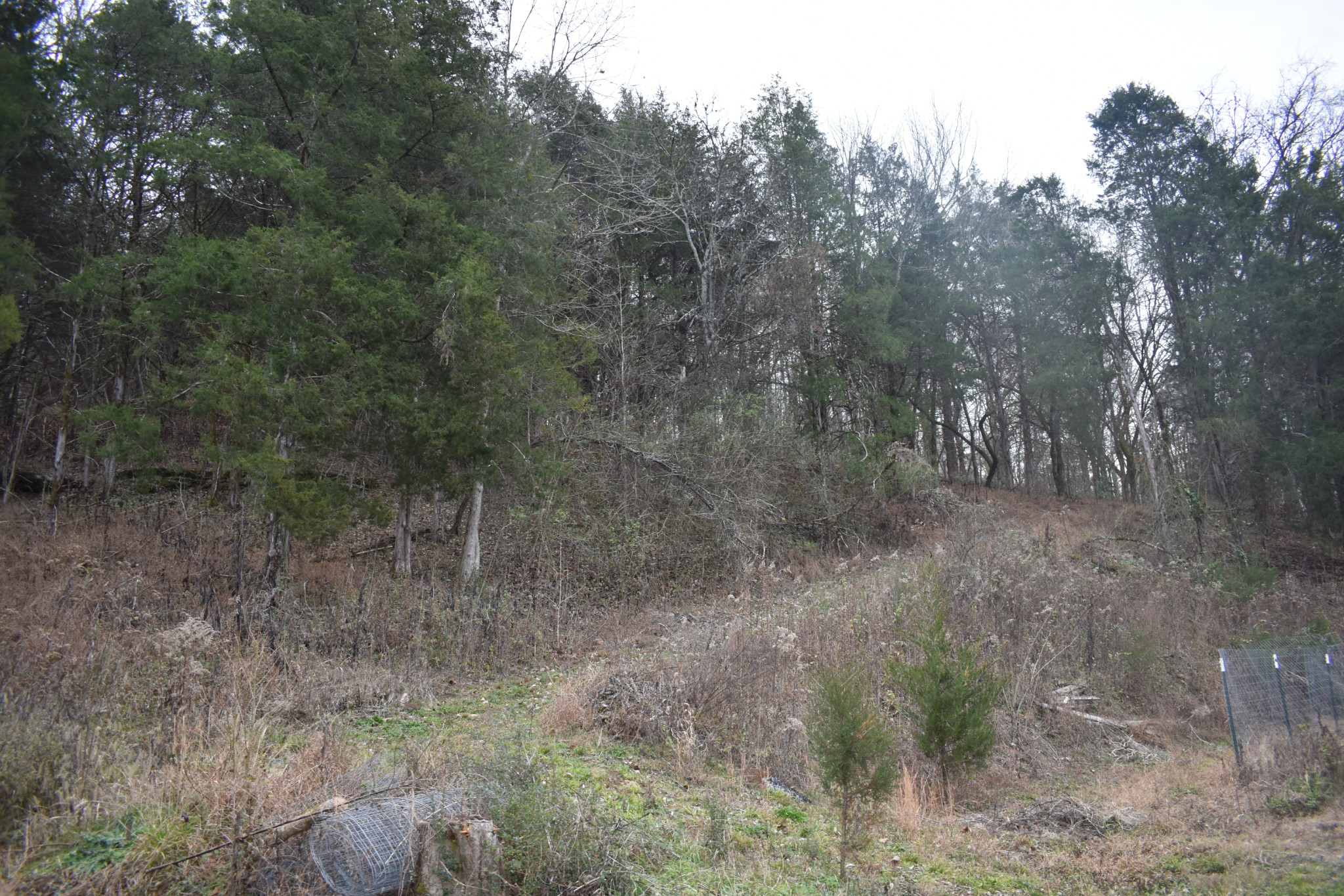 256 Maggart Rd, Elmwood, TN 38560