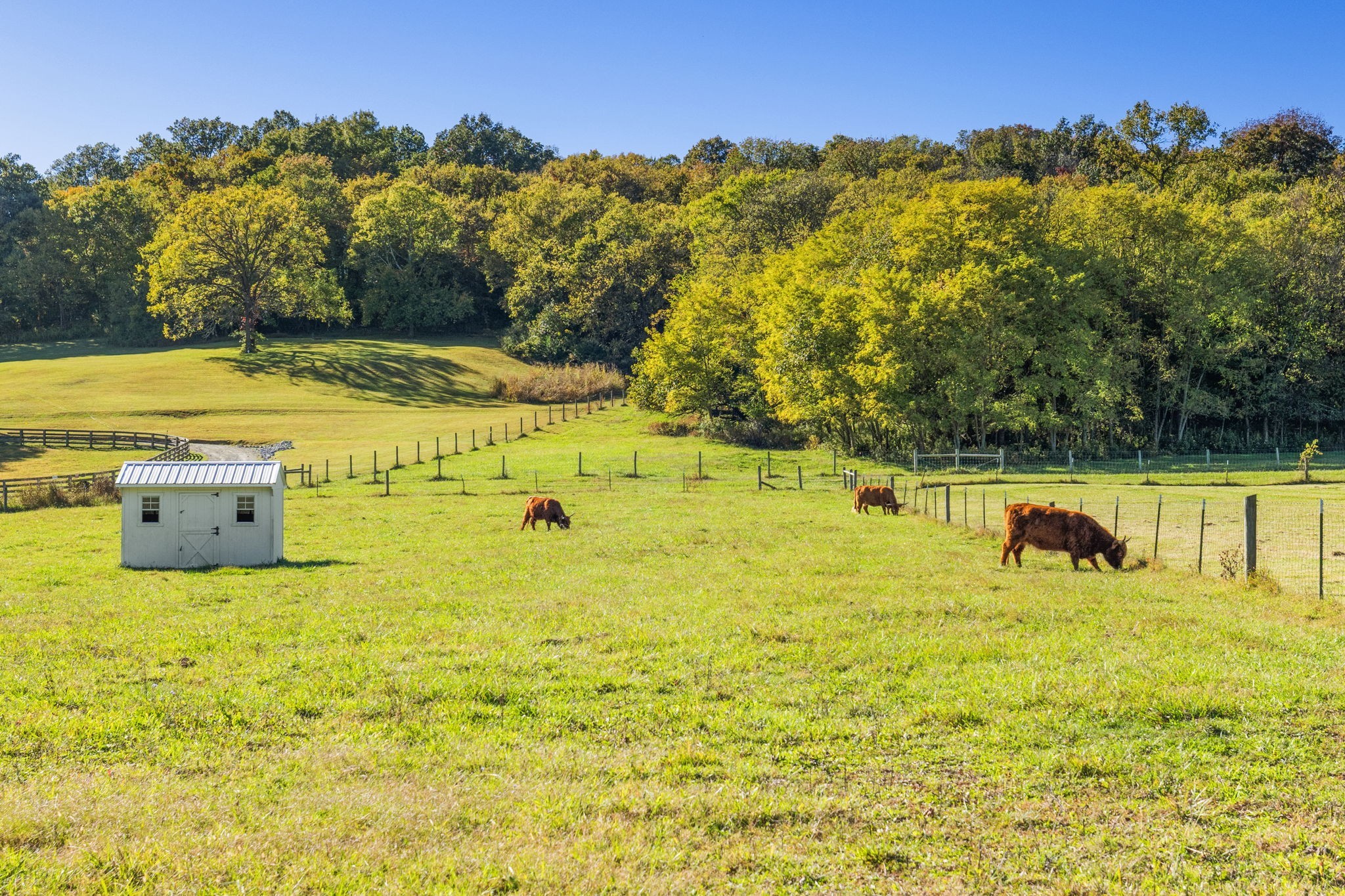 2133 Allisona Rd, Eagleville, TN 37060