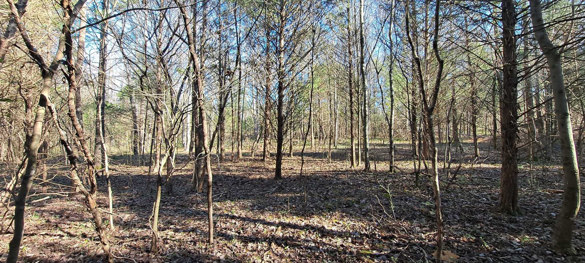 0 Nw Piney Rd, Dickson, TN 37055