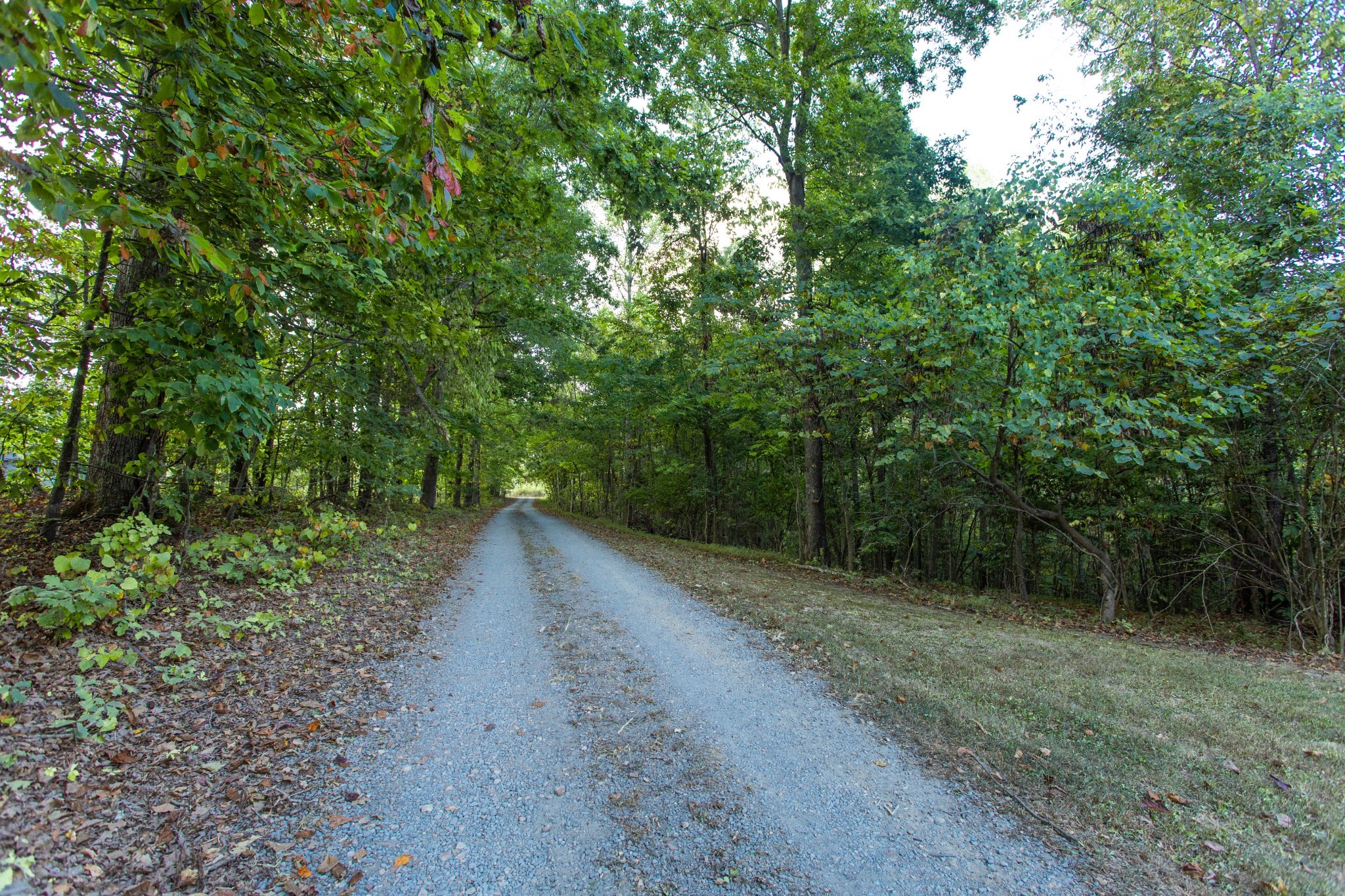 2160 Valley View Rd, Joelton, TN 37080
