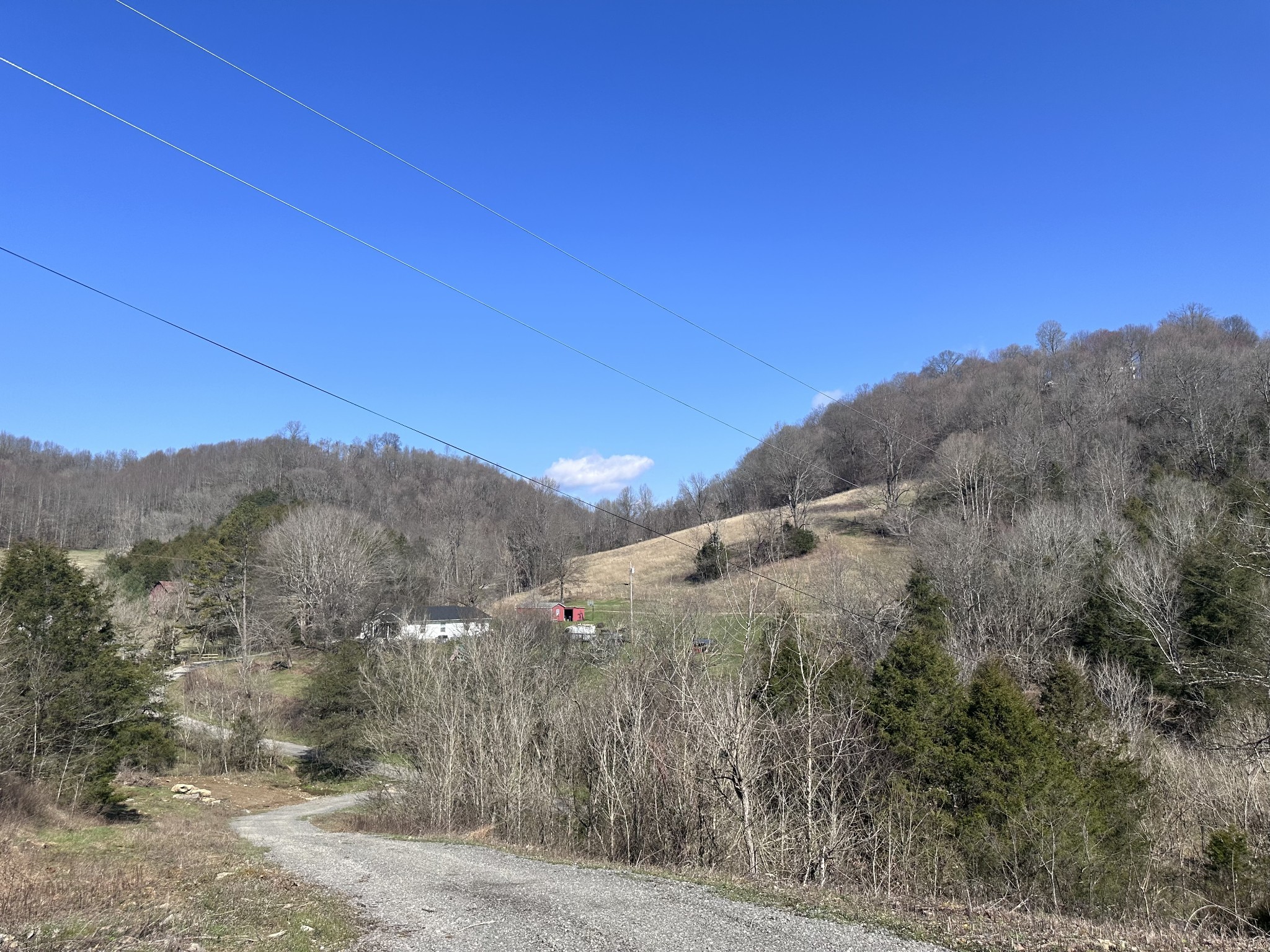 221 Friendship Hollow Rd S, Pleasant Shade, TN 37145