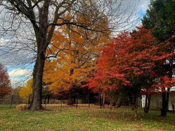 371 Wilson Boat Dock Rd, Lebanon, TN 37087