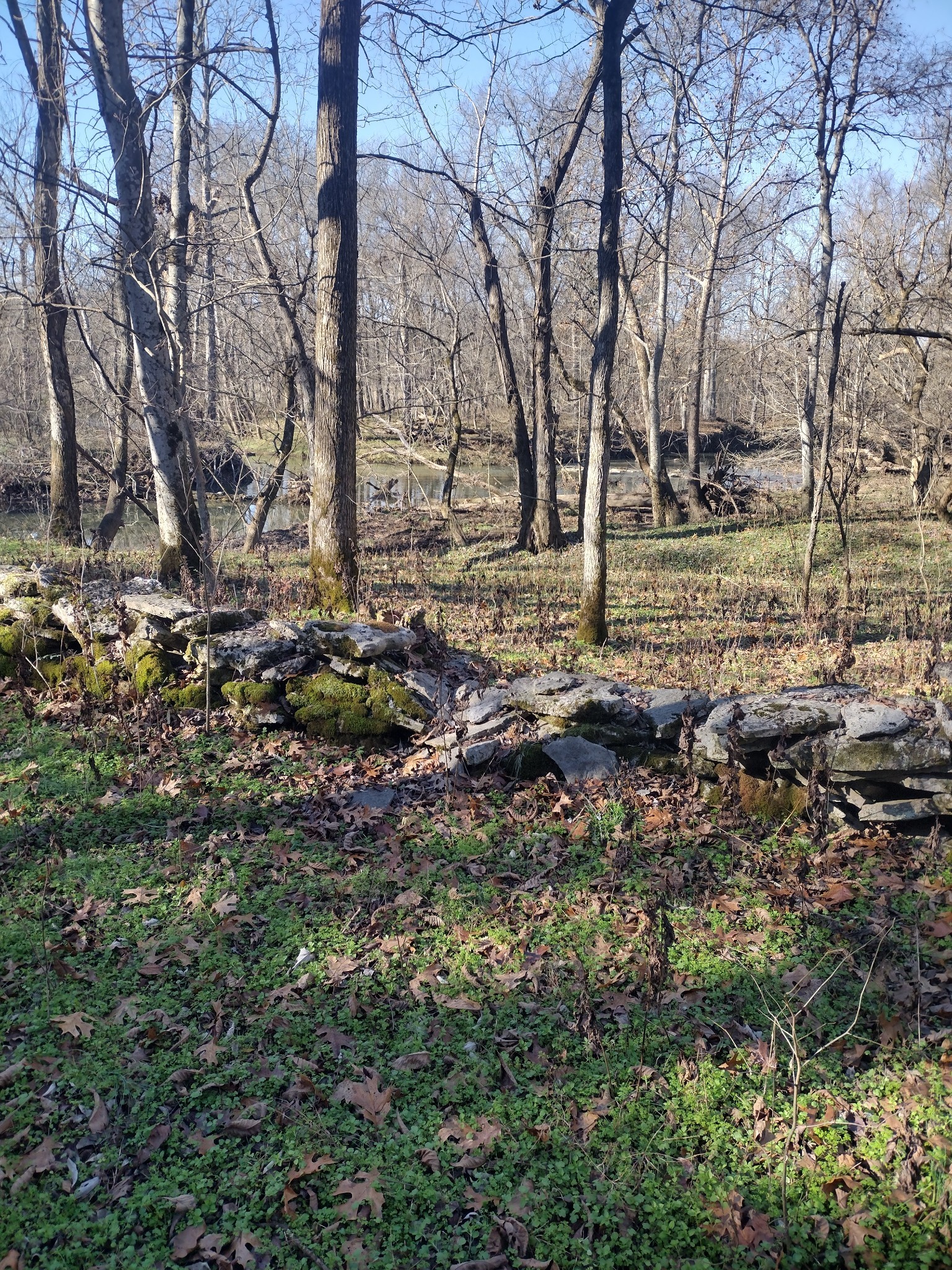 980 Baldy Ford Rd, Lascassas, TN 37085