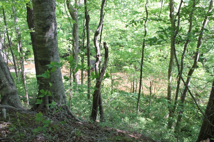 0 Meadows Rd, Portland, TN 37148