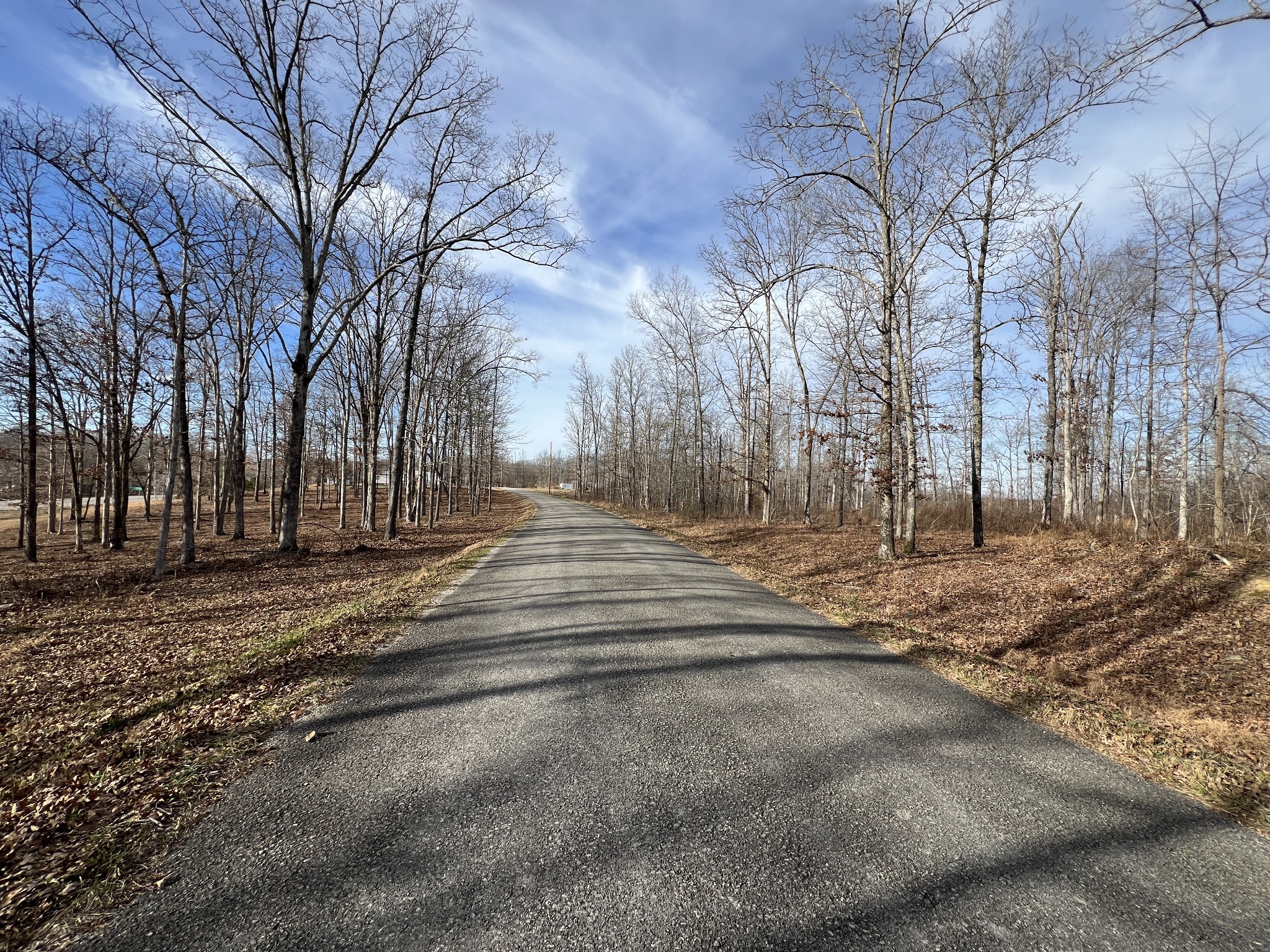 1 Slaughter Rd, Primm Springs, TN 38476