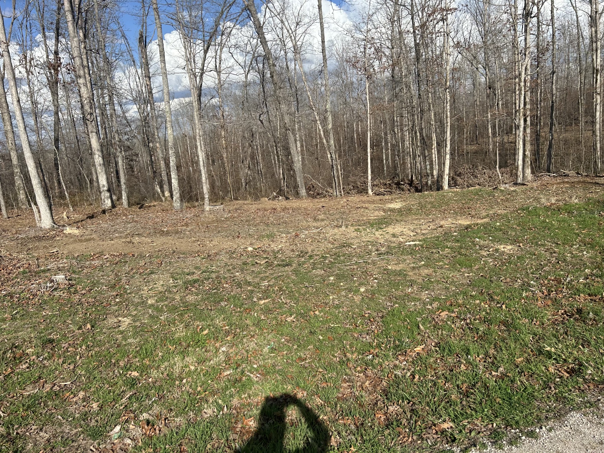 1 Slaughter Rd, Primm Springs, TN 38476