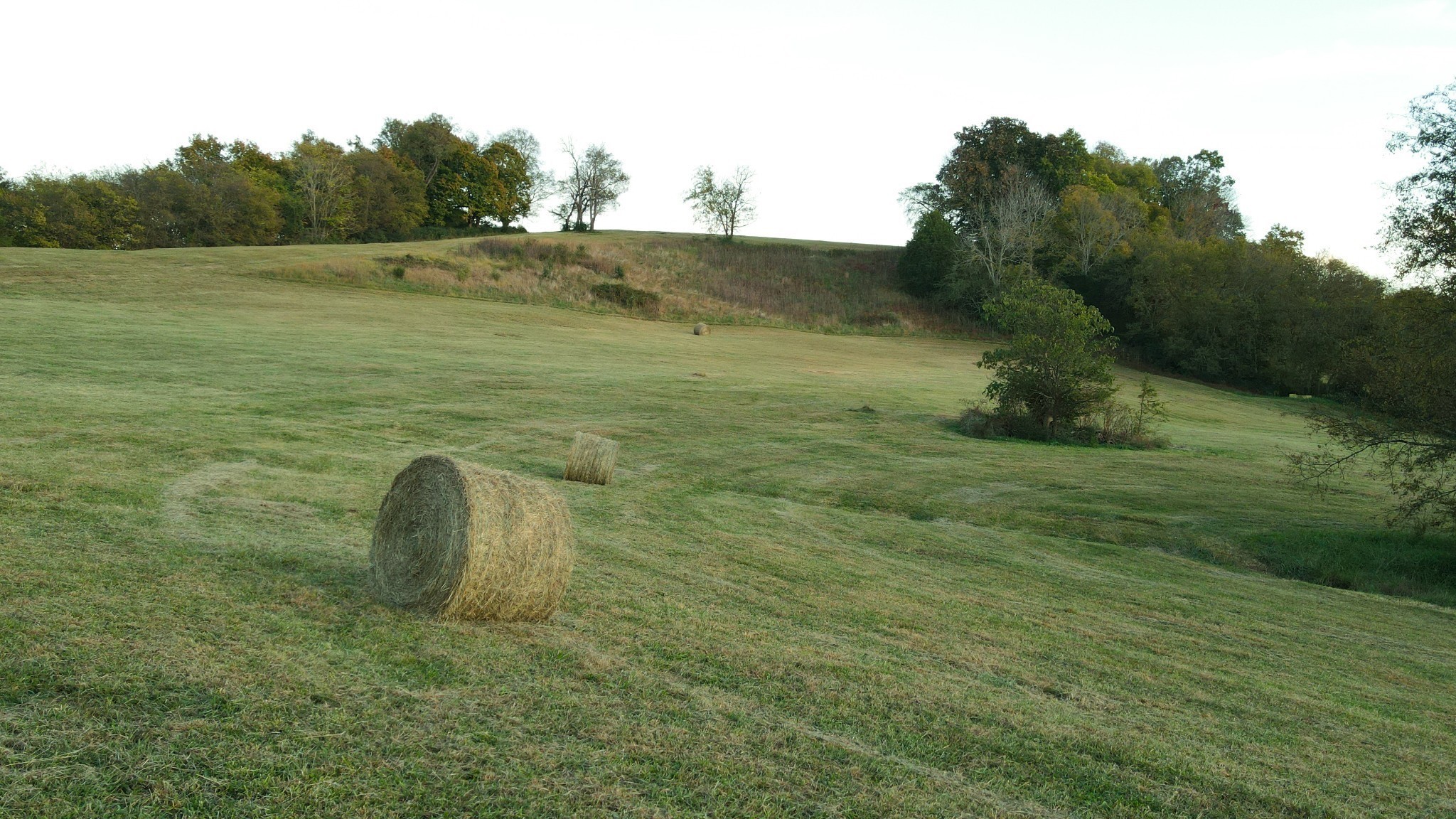 1924 Thompson Station Rd W, Thompsons Station, TN 37179