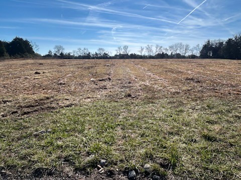 0 Hartmann Dr Lot 16, Lebanon, TN 37087