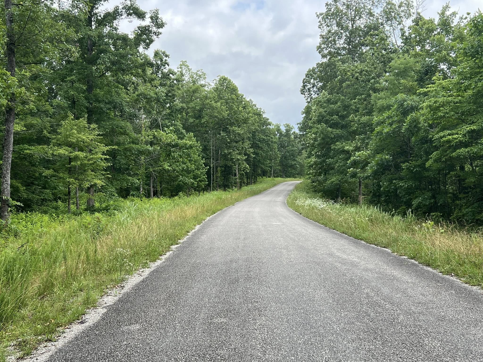 3 Slaughter Rd, Primm Springs, TN 38476