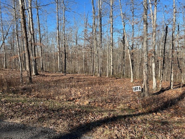 4 Slaughter Rd Lot 4, Primm Springs, TN 38476
