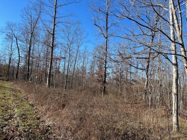 4 Slaughter Rd Lot 4, Primm Springs, TN 38476