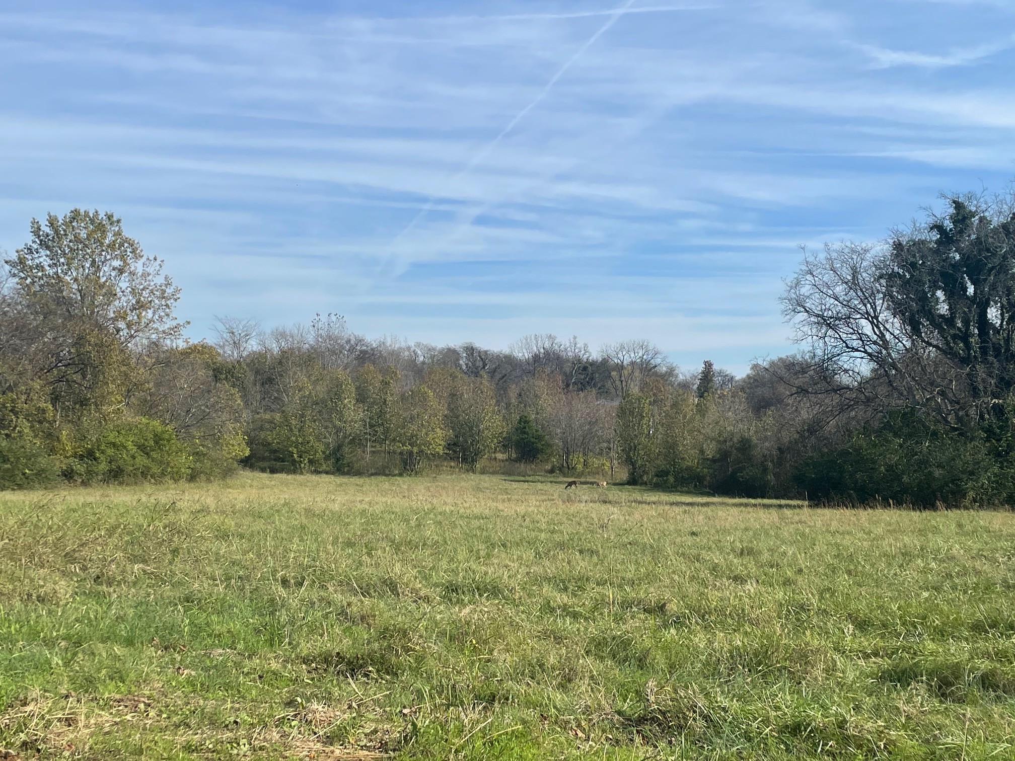 0 Blythe Ave, Gallatin, TN 37066