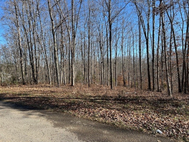 6 Slaughter Rd Lot 6, Primm Springs, TN 38476