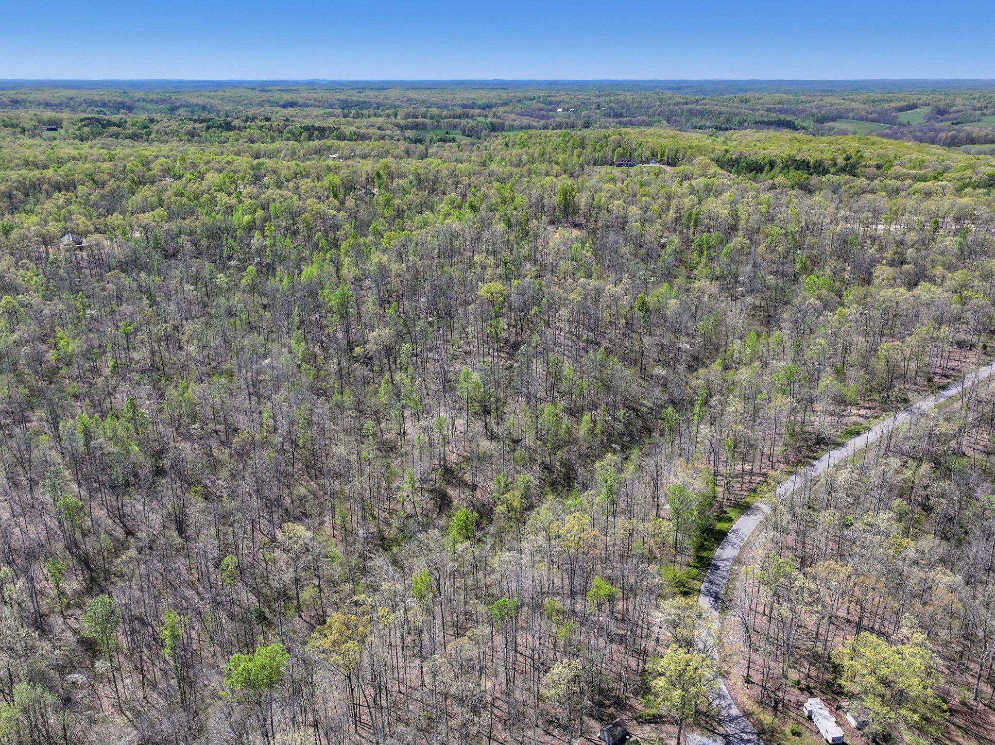 6 Slaughter Rd Lot 6, Primm Springs, TN 38476