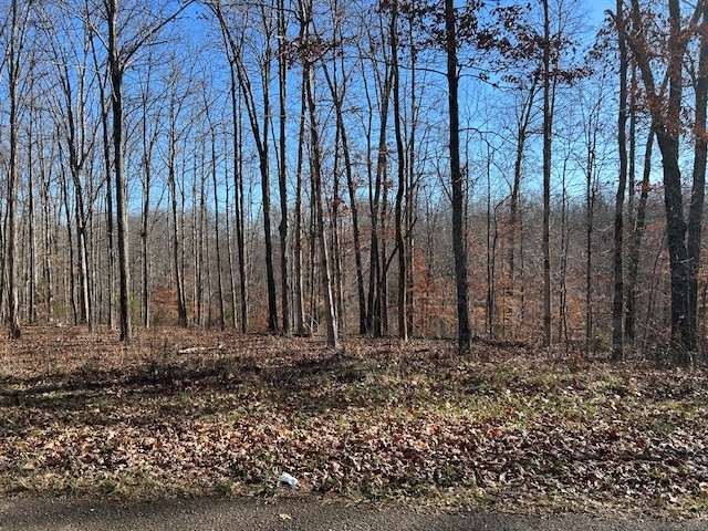 6 Slaughter Rd Lot 6, Primm Springs, TN 38476