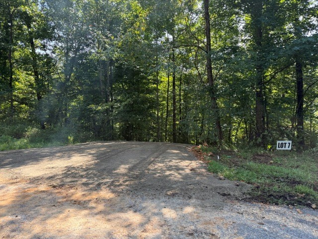 7 Slaughter Rd N Lot 7 & 8, Primm Springs, TN 38476