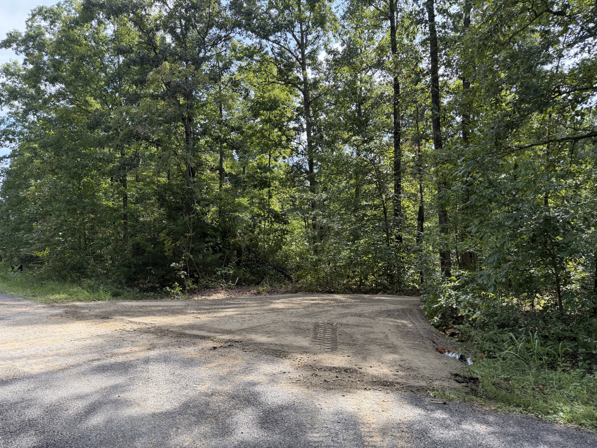 9 Slaughter Rd, Primm Springs, TN 38476