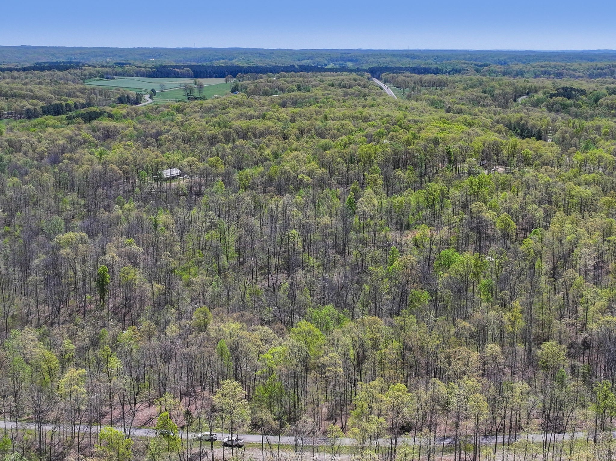 9 Slaughter Rd, Primm Springs, TN 38476
