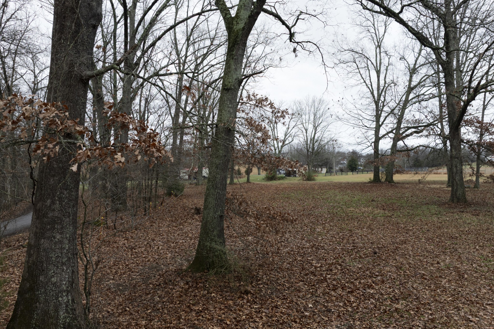 2106 Castelow, Greenbrier, TN 37073