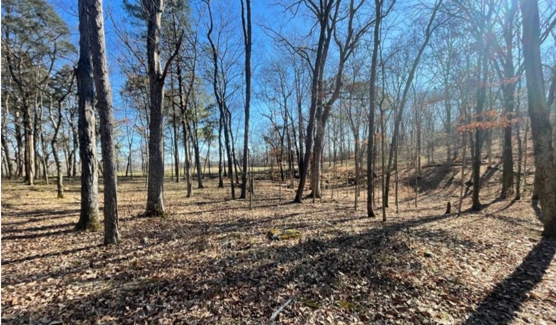 1875 Bakers Grove Rd, Hermitage, TN 37076